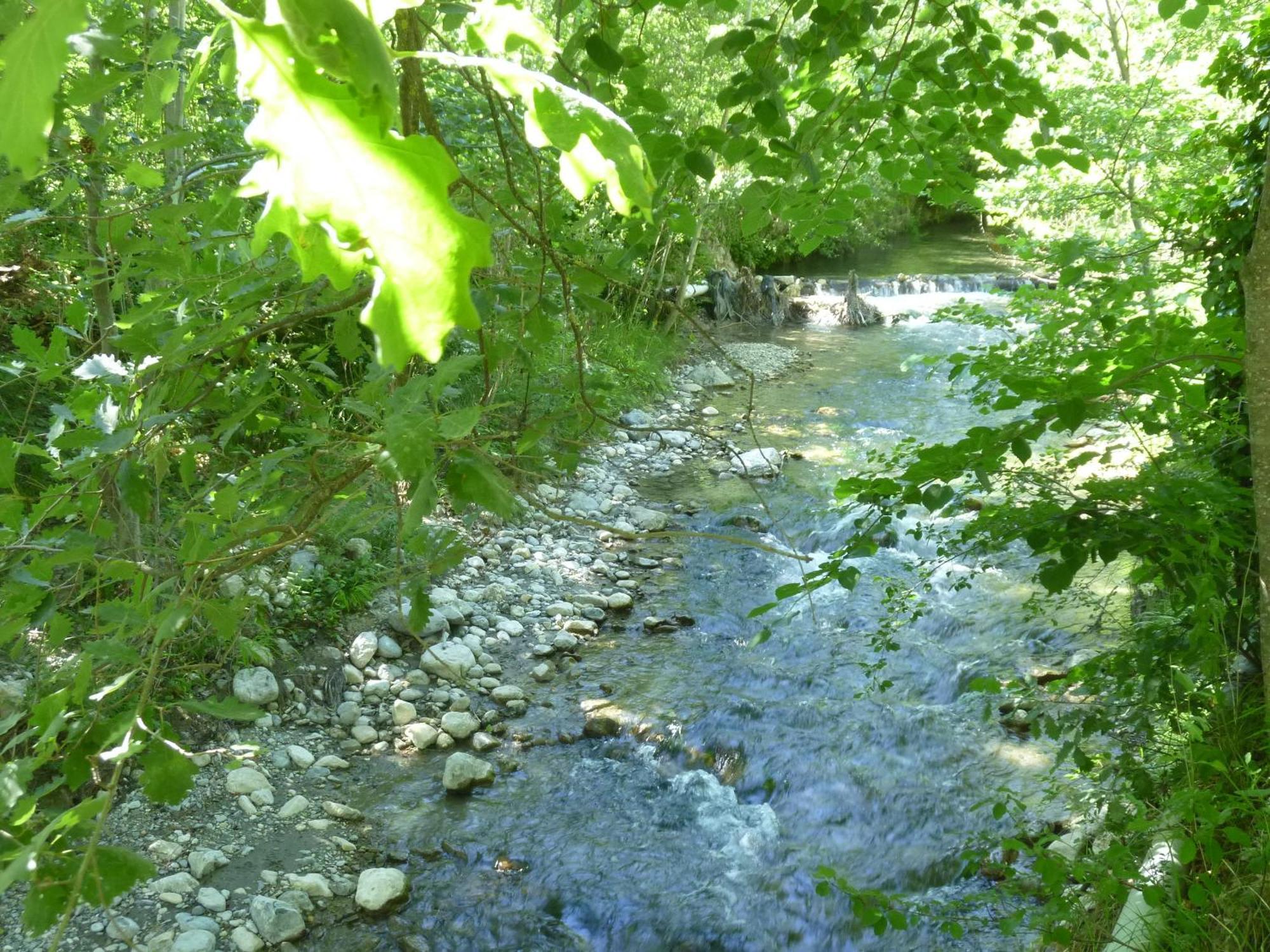 Camping Notre Dame Castellane Bagian luar foto