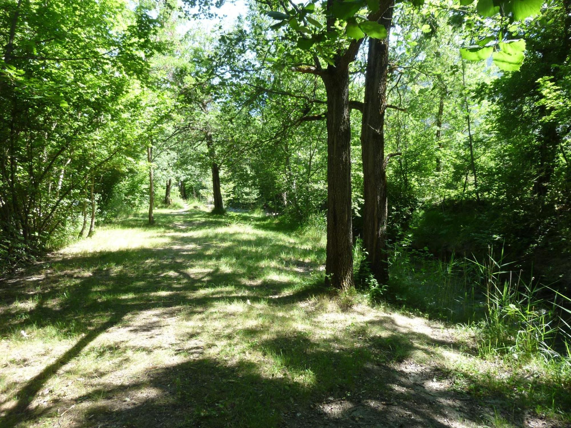 Camping Notre Dame Castellane Bagian luar foto